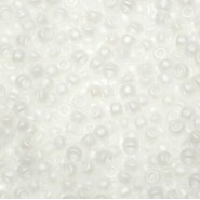 Miyuki rocailles Perlen 11/0 - Transparant matte ab crystal 11-131fr