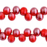 Glasperlen 8mm A-symetrisch Scarlet red-half pearl shine coating