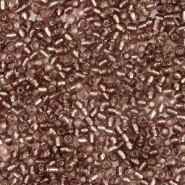 Seed beads - ± 2mm Pecan brown silver lined