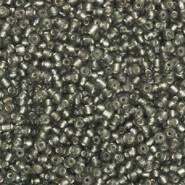 Glas rocailles - ± 2mm Anthracite black silver lined