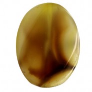 Half edelsteen Agaat kraal ovaal 25x35mm Golden brown