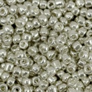 Glasperlen rocailles 8/0 (3mm) Metallic shine warm silver